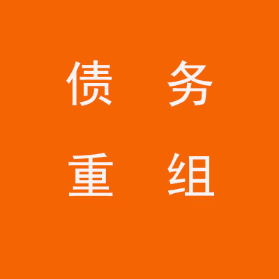 文圣个人债务重组优化